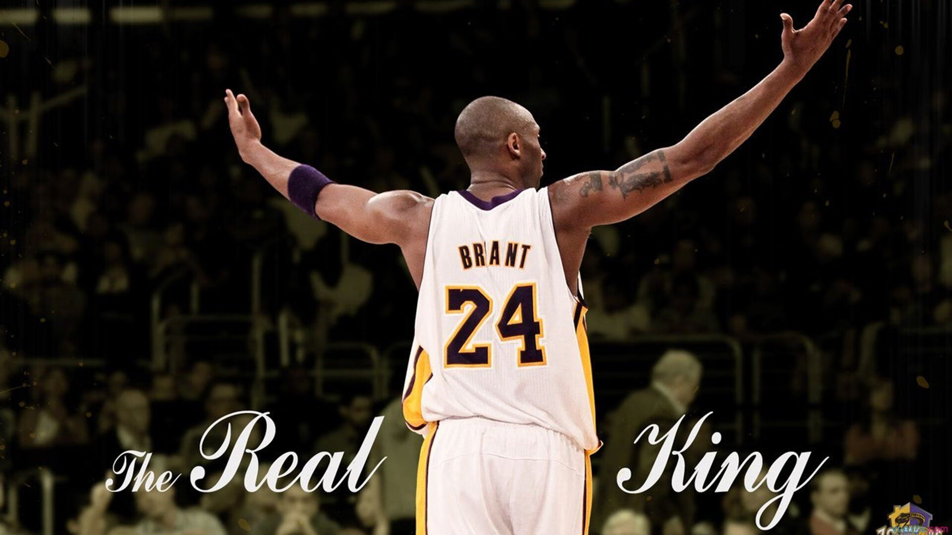 开云官网2026-东决关键战焦点战，猛龙踏平山西队