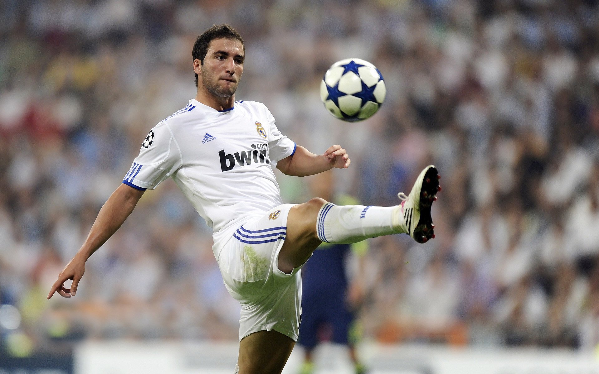 开云APP-冰与火之歌,当莱万终结冰岛神话,足球回归残酷现实